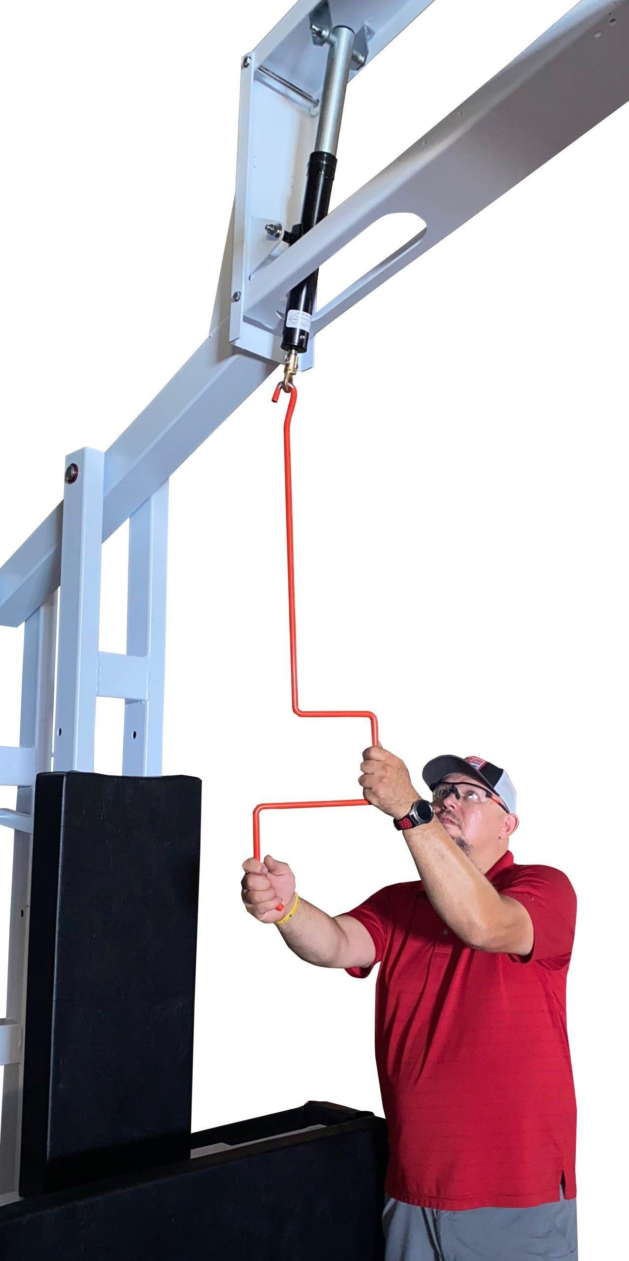 T-Rex Sport Portable Basketball System - bisoninc