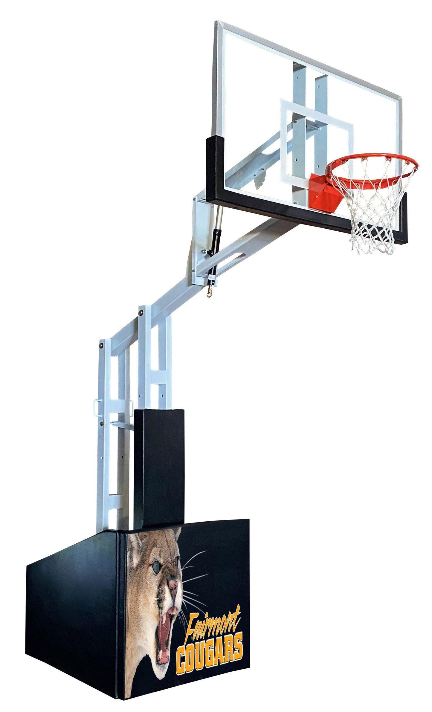 T-Rex Sport Portable Basketball System - bisoninc