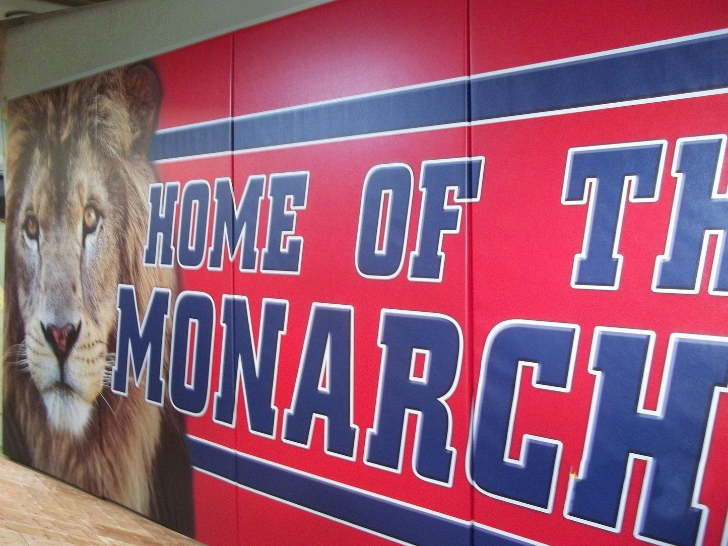 Protector™ Custom Graphic Indoor Wall Padding - bisoninc