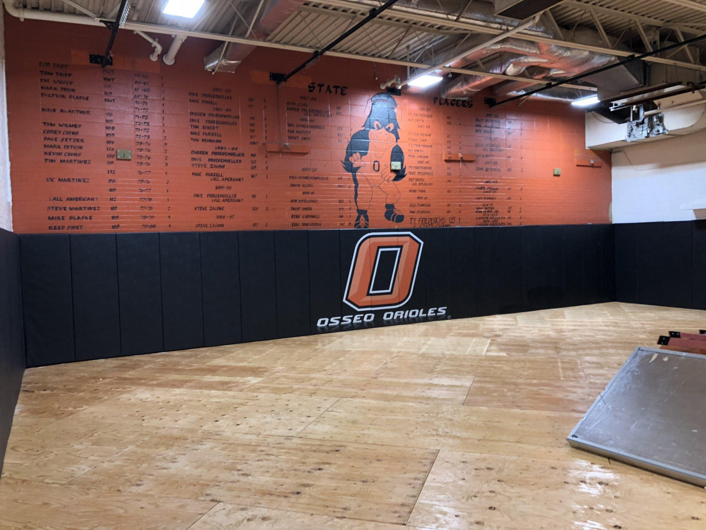 Protector™ Custom Graphic Indoor Wall Padding - bisoninc