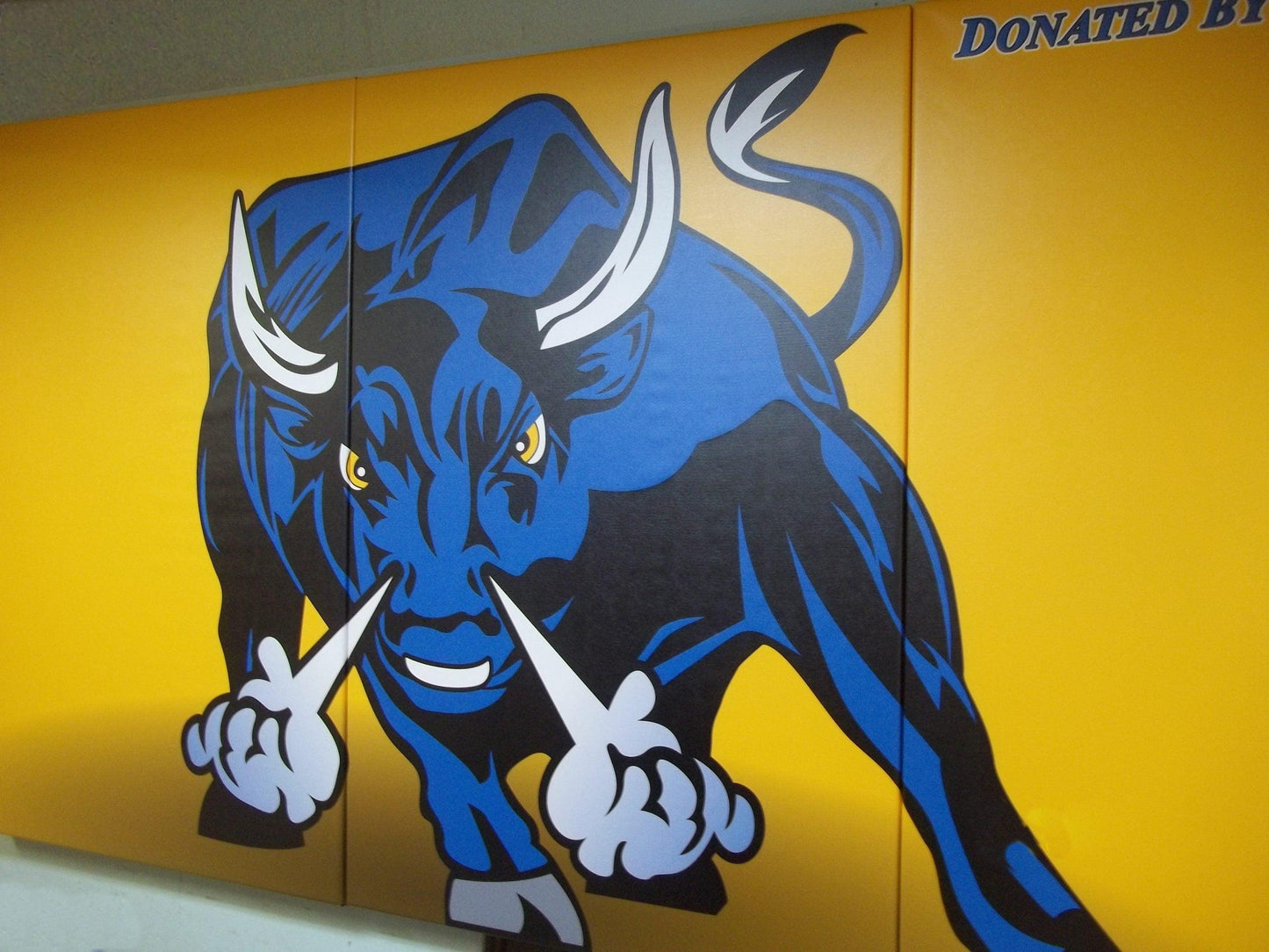 Protector™ Custom Graphic Indoor Wall Padding - bisoninc