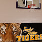 Protector™ Graphic Hidden Mount Wall Padding 2' x 6' Panel