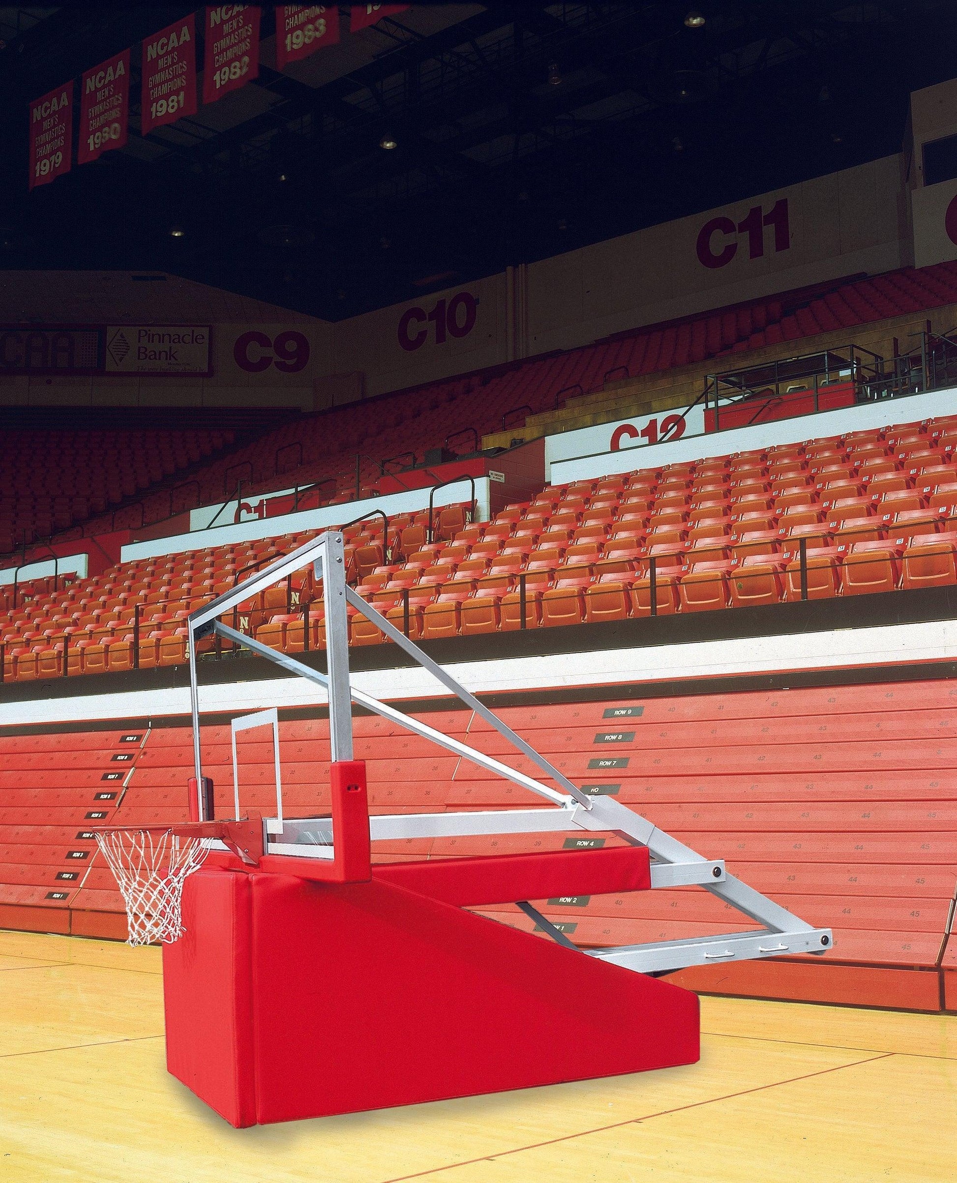 T-REX® Side Court Portable Basketball System - bisoninc